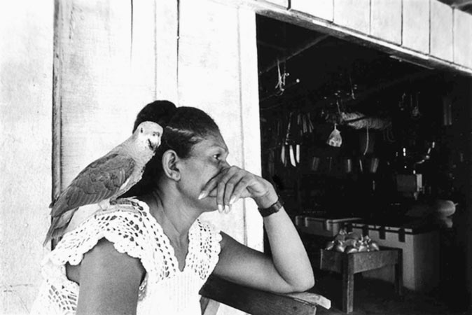 commerçante et son perroquet, projet photographique sur la vie quotidienne des femmes et des chercheurs d´or en Amazonie brésilienne