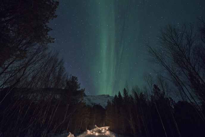 Aurores boréales_ Laponie norvégienne ©Anne-Marie Louvet photographe