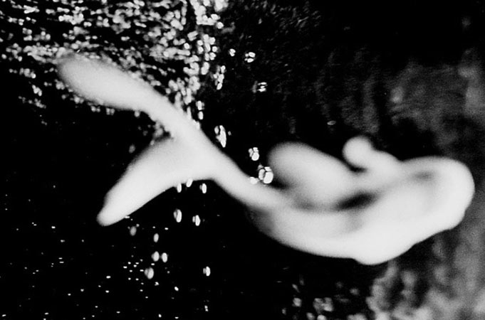 "Poissons cosmiques" et symbolique de l'eau, photographie d'Anne-Marie Louvet
