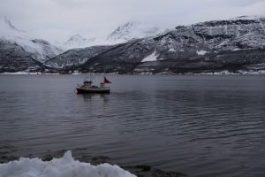 Laponie norvégienne par Anne-Marie Louvet photographe