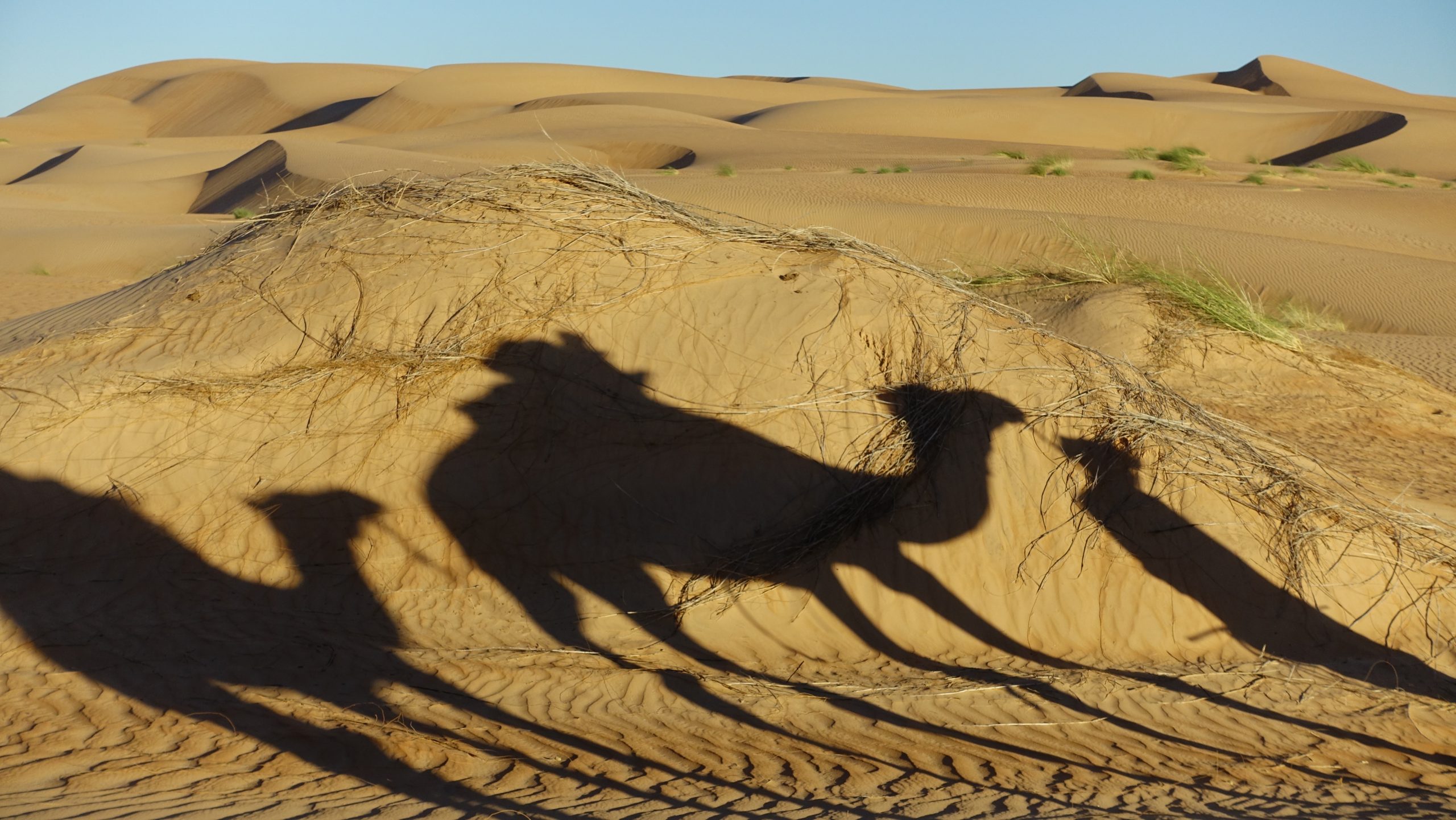 Désert mauritanien par Anne-Marie Louvet photographe